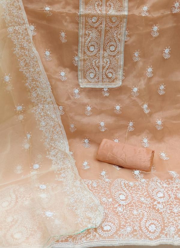 TCNX Orgengza Vol 1 organza Embroidery Dress Material 